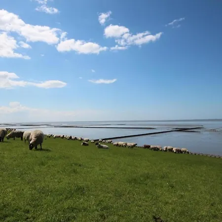 Ferienhaus Große Nordseewelle Ohne Hund Norden