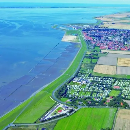 Grosse Nordseewelle Ohne Hund *