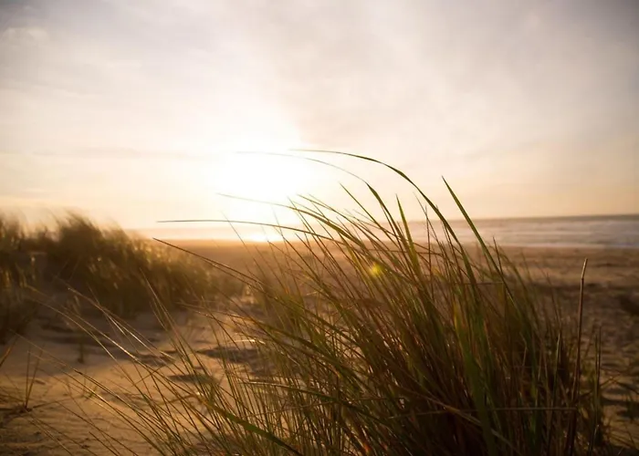 Grosse Nordseewelle Ohne Hund 度假居 *