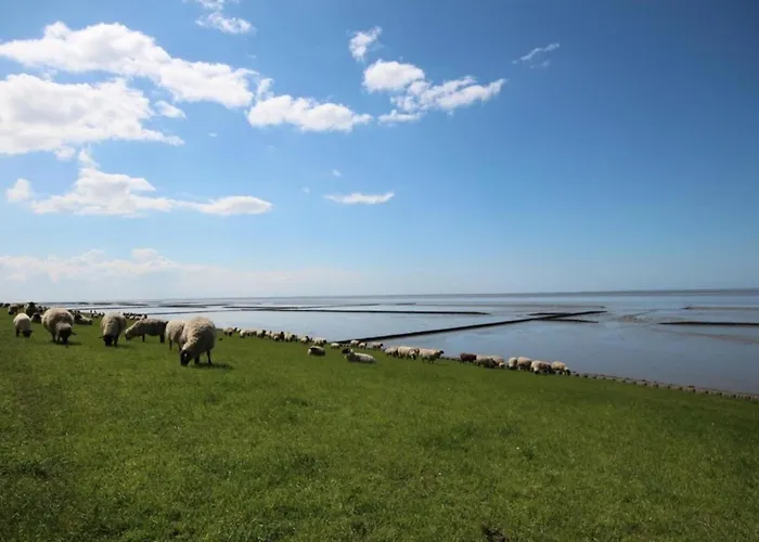 度假居 Grosse Nordseewelle Ohne Hund 诺登