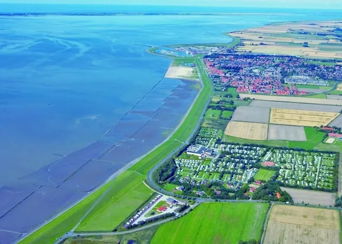 Grosse Nordseewelle Ohne Hund *